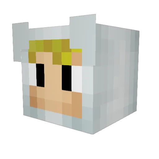 hanner1409 Minecraft avatar head, 3D render