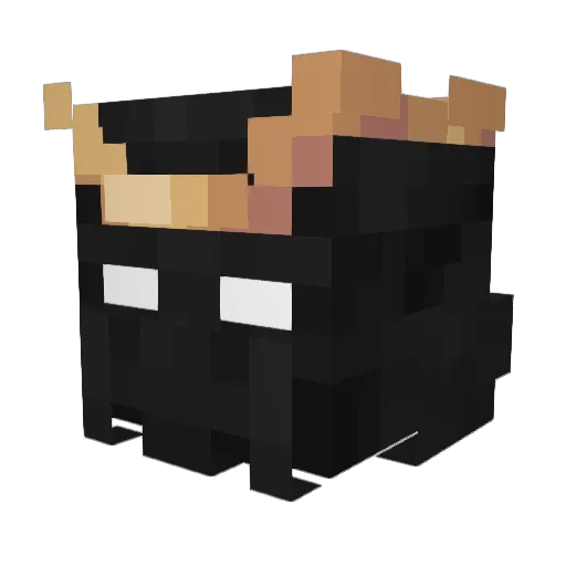 hannexfm Minecraft avatar head, 3D render