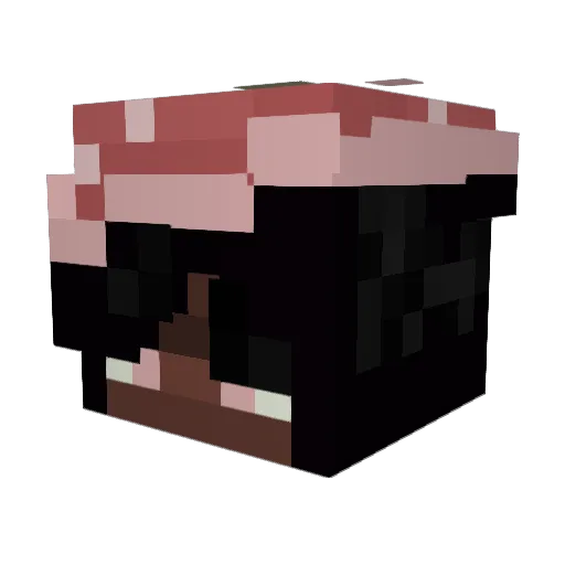 hannhums Minecraft avatar head, 3D render