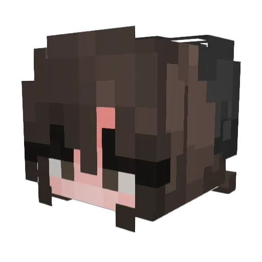 hannsluna Minecraft avatar head, 3D render