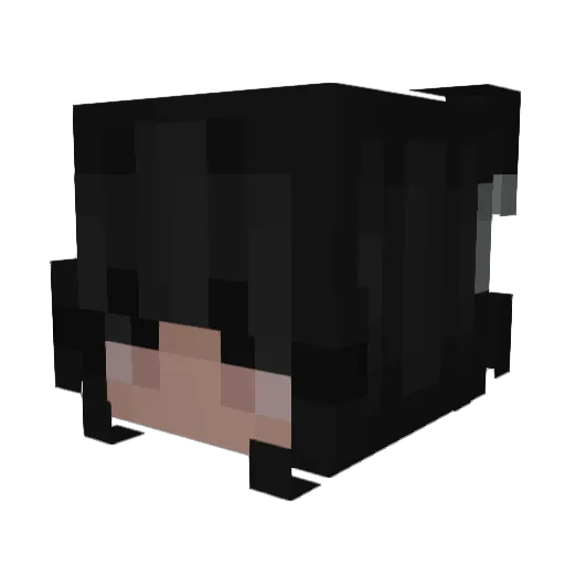 hanntran Minecraft avatar head, 3D render