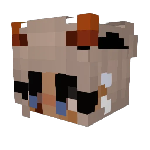 hanorama_ Minecraft avatar head, 3D render