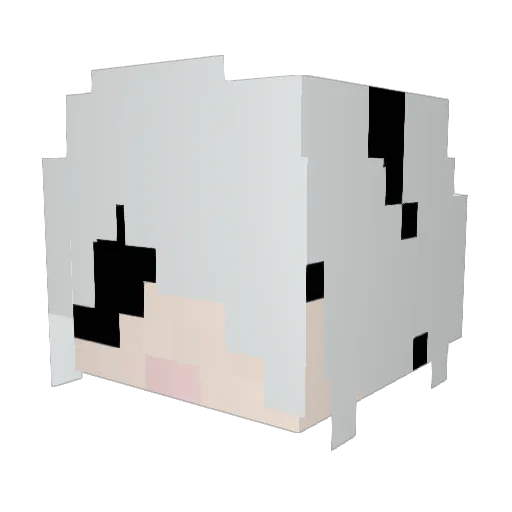 hanpen11 Minecraft avatar head, 3D render