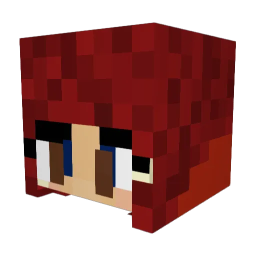hansagrottan4 Minecraft avatar head, 3D render