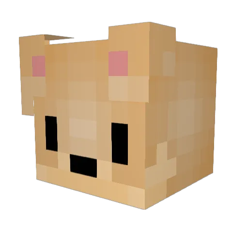 hanseob Minecraft avatar head, 3D render