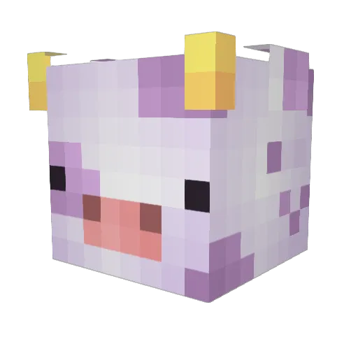 hansua Minecraft avatar head, 3D render
