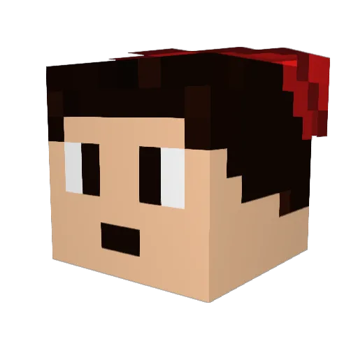 hansung9630 Minecraft avatar head, 3D render
