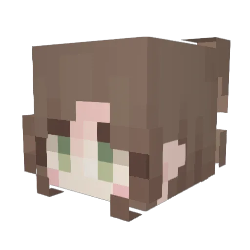 hantnor Minecraft avatar head, 3D render