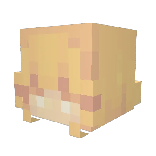 hanwilk8 Minecraft avatar head, 3D render