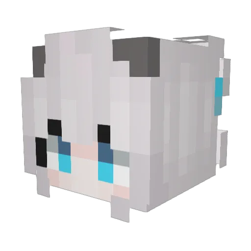 hanwo0418 Minecraft avatar head, 3D render