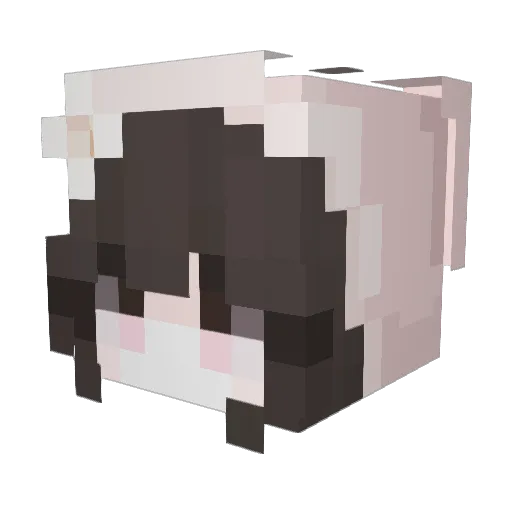 hanxdlol Minecraft avatar head, 3D render