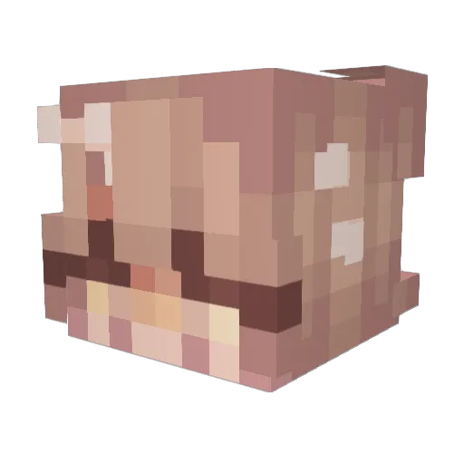hanyachii Minecraft avatar head, 3D render