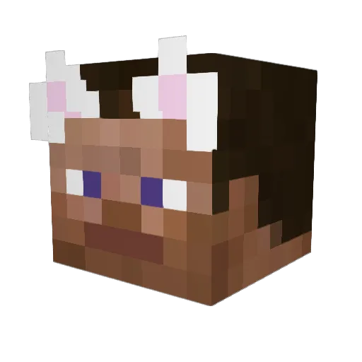 haonberlin Minecraft avatar head, 3D render
