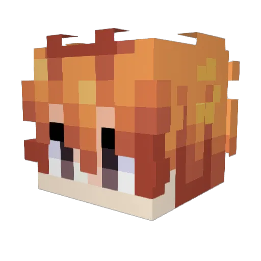 hapoid Minecraft avatar head, 3D render