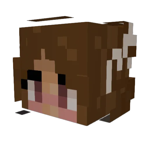 happqness Minecraft avatar head, 3D render