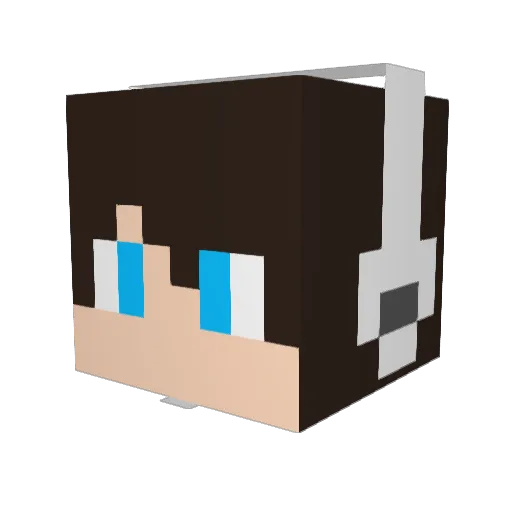happy141 Minecraft avatar head, 3D render