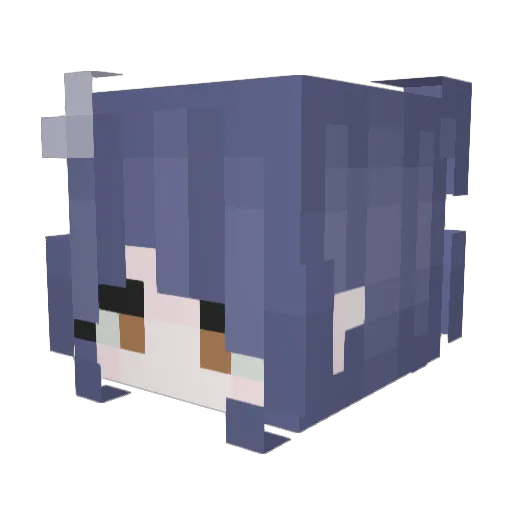 happy509 Minecraft avatar head, 3D render