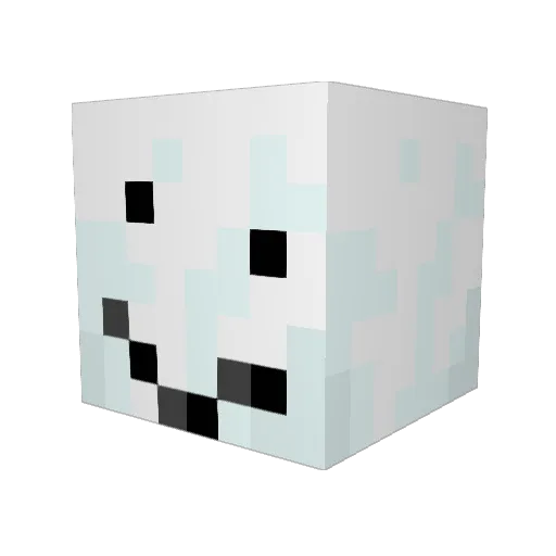 happy_happa Minecraft avatar head, 3D render