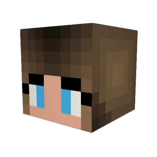 happybee2300 Minecraft avatar head, 3D render