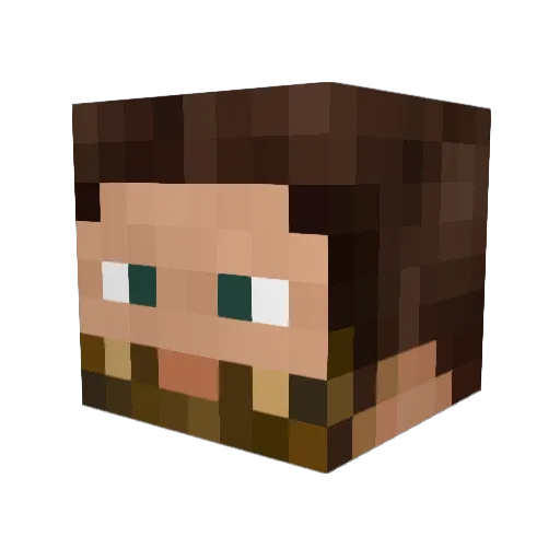happycamper95 Minecraft avatar head, 3D render