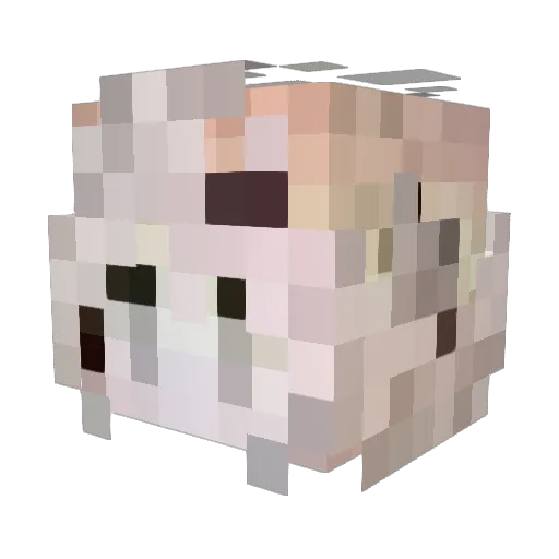 happyend233 Minecraft avatar head, 3D render