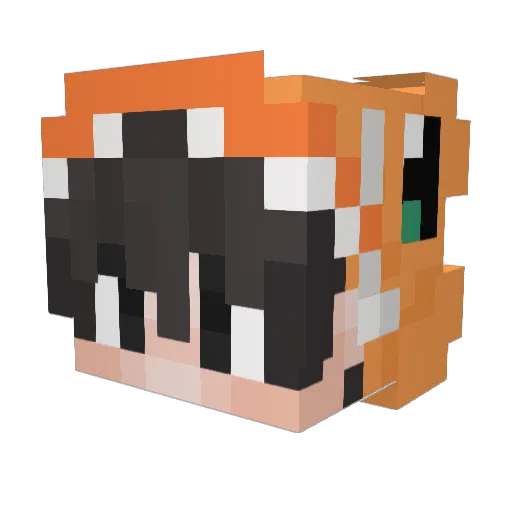 happyface6655 Minecraft avatar head, 3D render