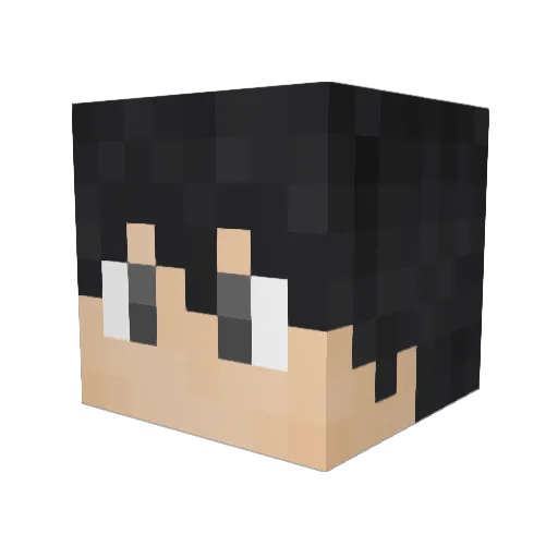 happyfacejeff Minecraft avatar head, 3D render