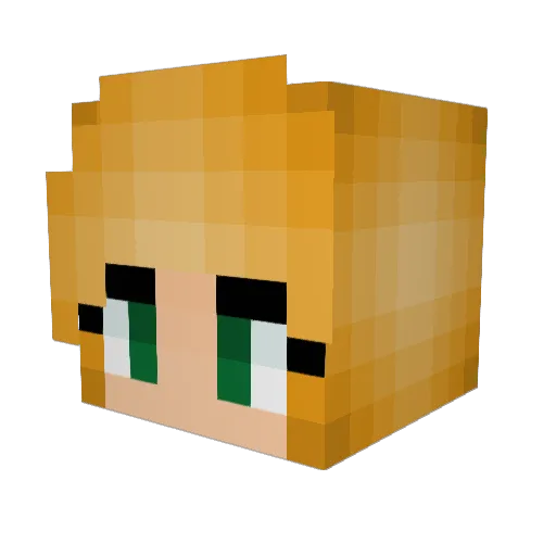 happygirl20 Minecraft avatar head, 3D render