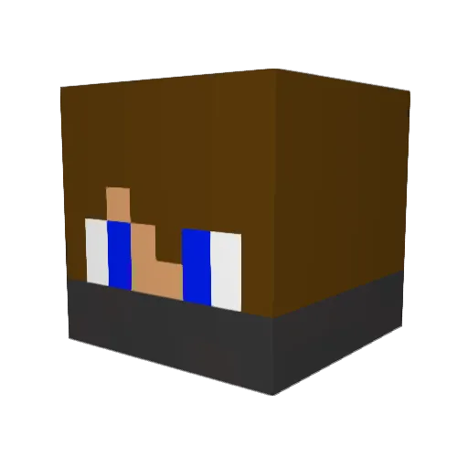 happyhobo15 Minecraft avatar head, 3D render