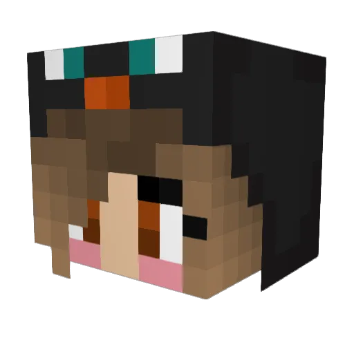 happyjacky Minecraft avatar head, 3D render
