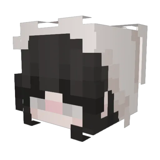 happynapper99 Minecraft avatar head, 3D render