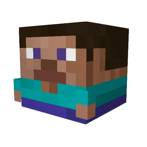 happynarwhal99 Minecraft avatar head, 3D render