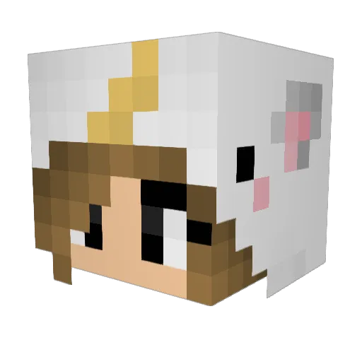 happyperson123 Minecraft avatar head, 3D render