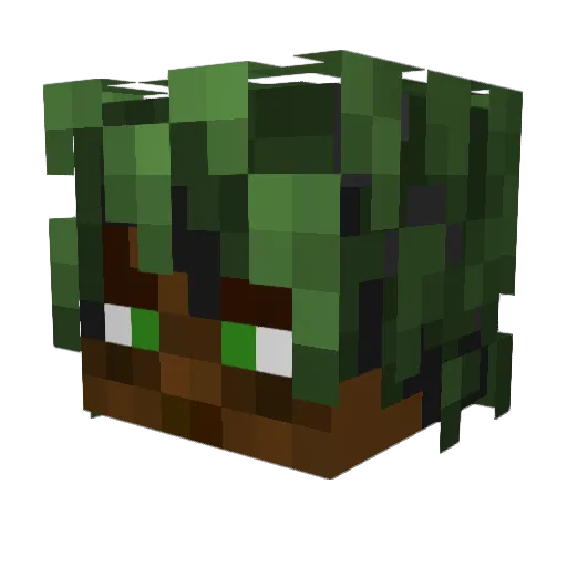 happypixelfalcon Minecraft avatar head, 3D render