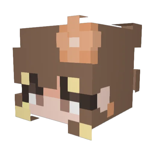 happyspacecat66 Minecraft avatar head, 3D render