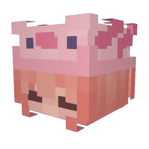 happysuny_suny Minecraft avatar head, 3D render