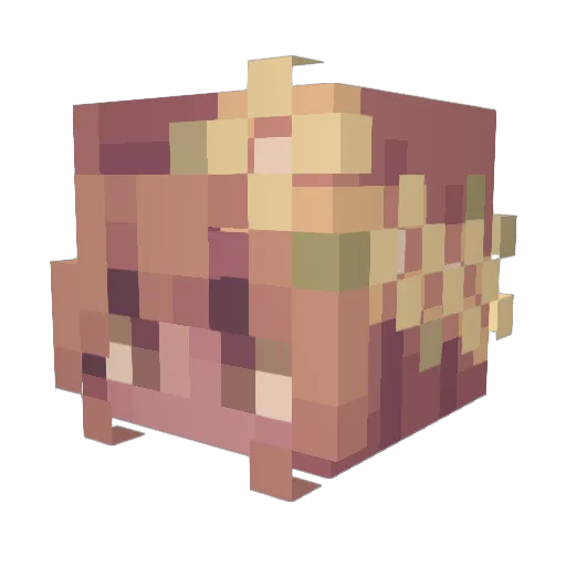 happytrashx Minecraft avatar head, 3D render