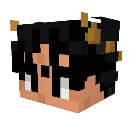 hardcarnival Minecraft avatar head, 3D render