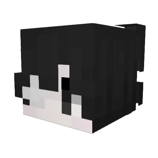 hardmaxx Minecraft avatar head, 3D render