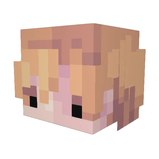 harem Minecraft avatar head, 3D render
