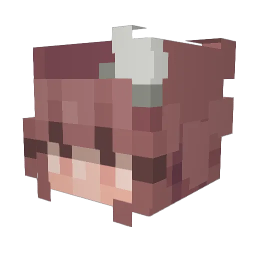 harley2017 Minecraft avatar head, 3D render