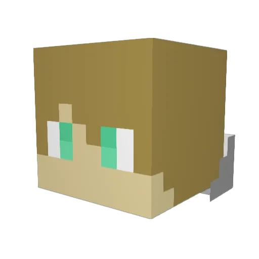 harlley69 Minecraft avatar head, 3D render
