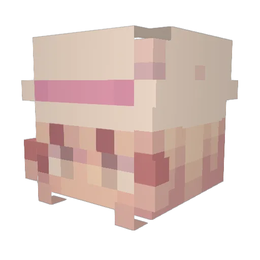 harmet600 Minecraft avatar head, 3D render