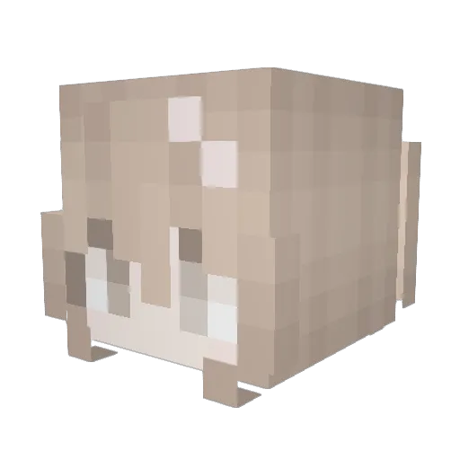 harmfulekitten Minecraft avatar head, 3D render