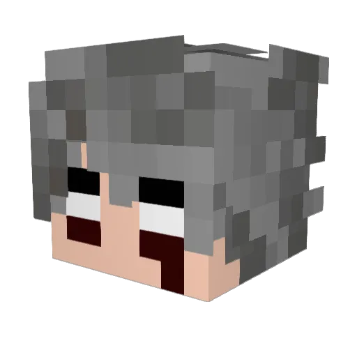 harmuss Minecraft avatar head, 3D render