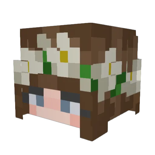 harpythefish Minecraft avatar head, 3D render