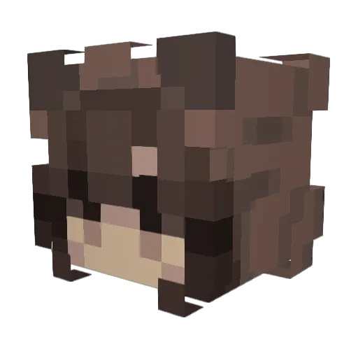 harris2302 Minecraft avatar head, 3D render