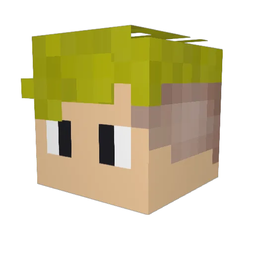 harrison2110 Minecraft avatar head, 3D render