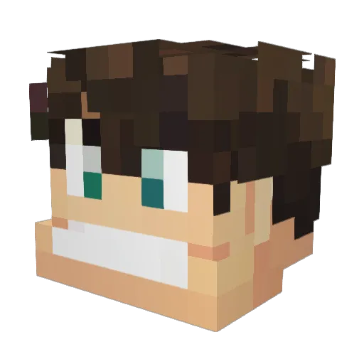 harry_fs Minecraft avatar head, 3D render