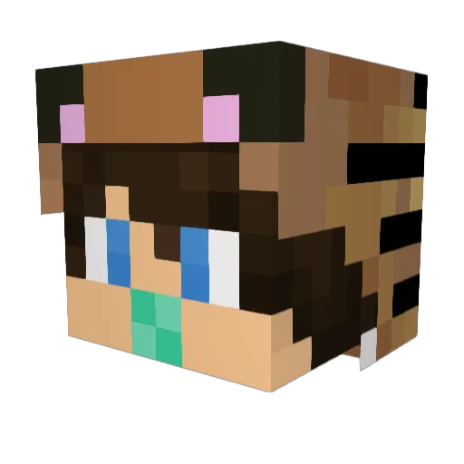 harrycook900 Minecraft avatar head, 3D render
